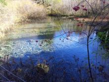 Les grandes sources de la Rive (3260)