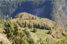 Pelouses sèches (6210)