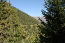 Pessière d'Auris (9410)